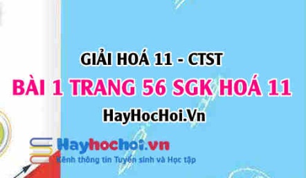 Giải bài 1 trang 56 Hoá 11 SGK Chân trời sáng tạo